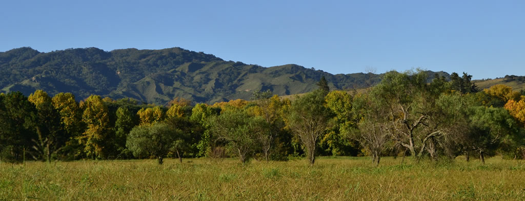 Cerros verdes de San Lorenzo 