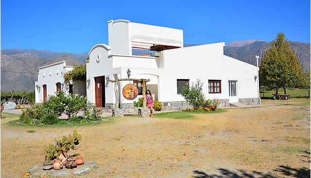 Cabras de Cafayate