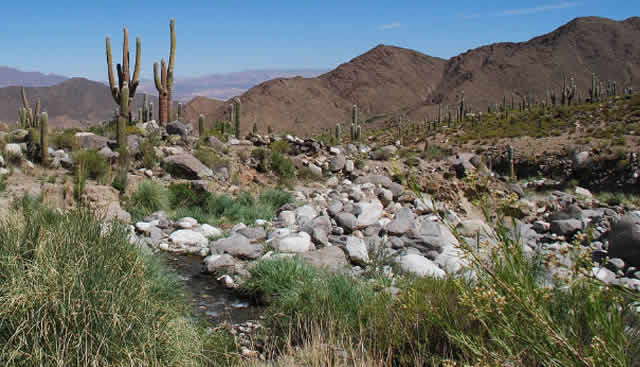 Ruinas de Cachi