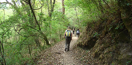 Quebrada de San Lorenzo