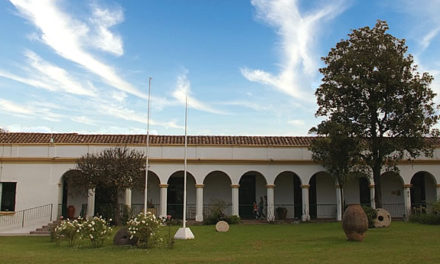 Mercado Artesanal Salta