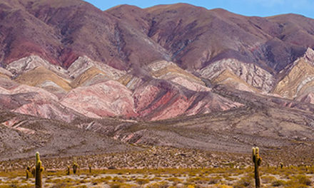 Parque Nacional Los Cardones