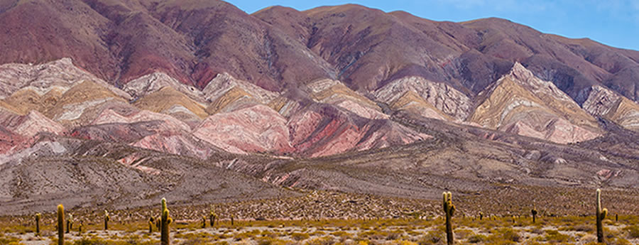 Parque Nacional Los Cardones