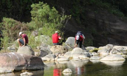 Parque Nacional El Rey