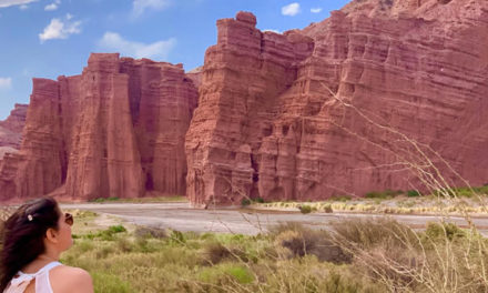 Cafayate un destino de altura