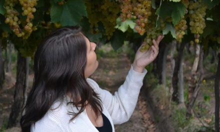 El vino Torrontés de Cafayate