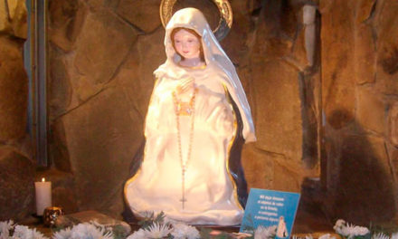 Virgen del Cerro en Pandemia