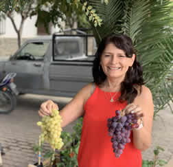 Uvas de Cafayate