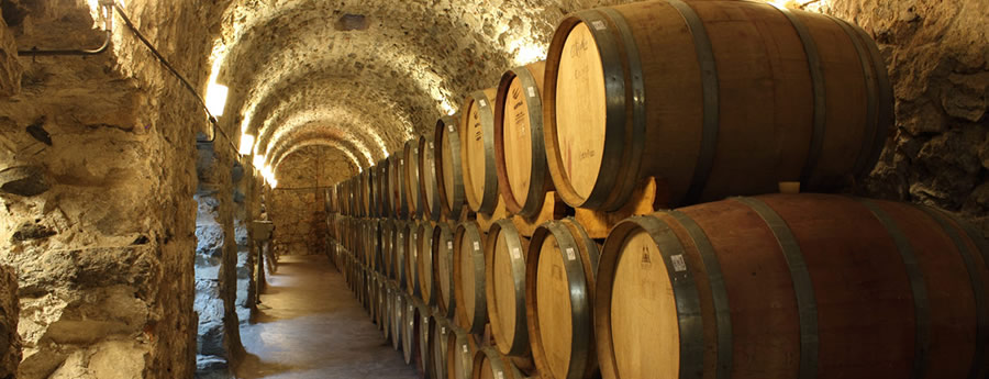 Bodega Quara