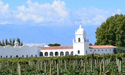 Bodega El Esteco