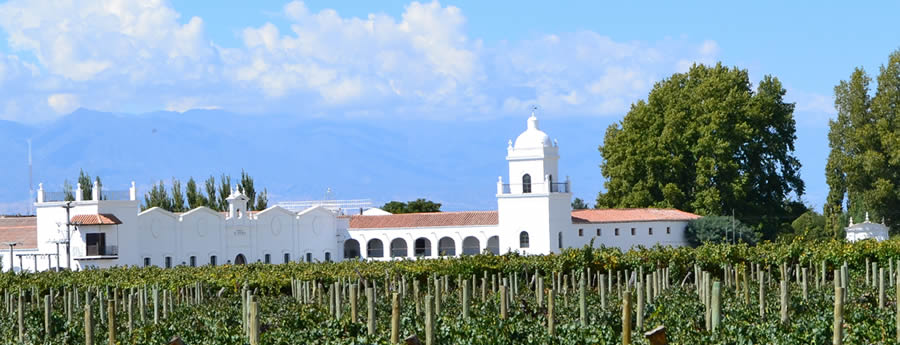 Bodega El Esteco