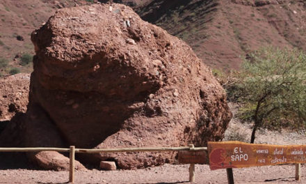 El Sapo de la Quebrada de las Conchas en Cafayate