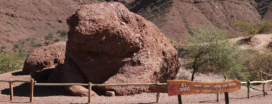 El Sapo de la Quebrada de las Conchas en Cafayate