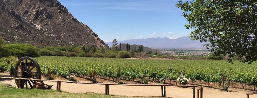 BODEGA Y VIÑEDOS J. L. MOUNIER SAN JUAN ARGENTINA