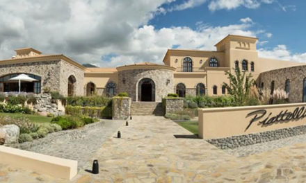 Bodega Piattelli