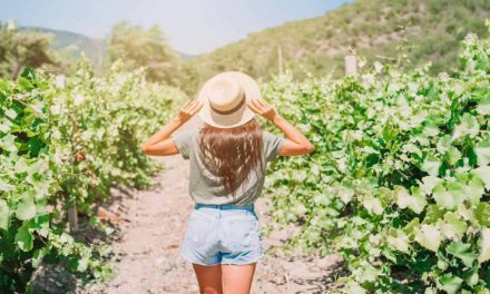 El Malbec de Cafayate